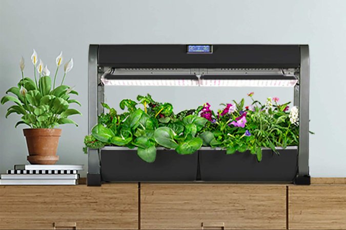 The Best AeroGarden Options