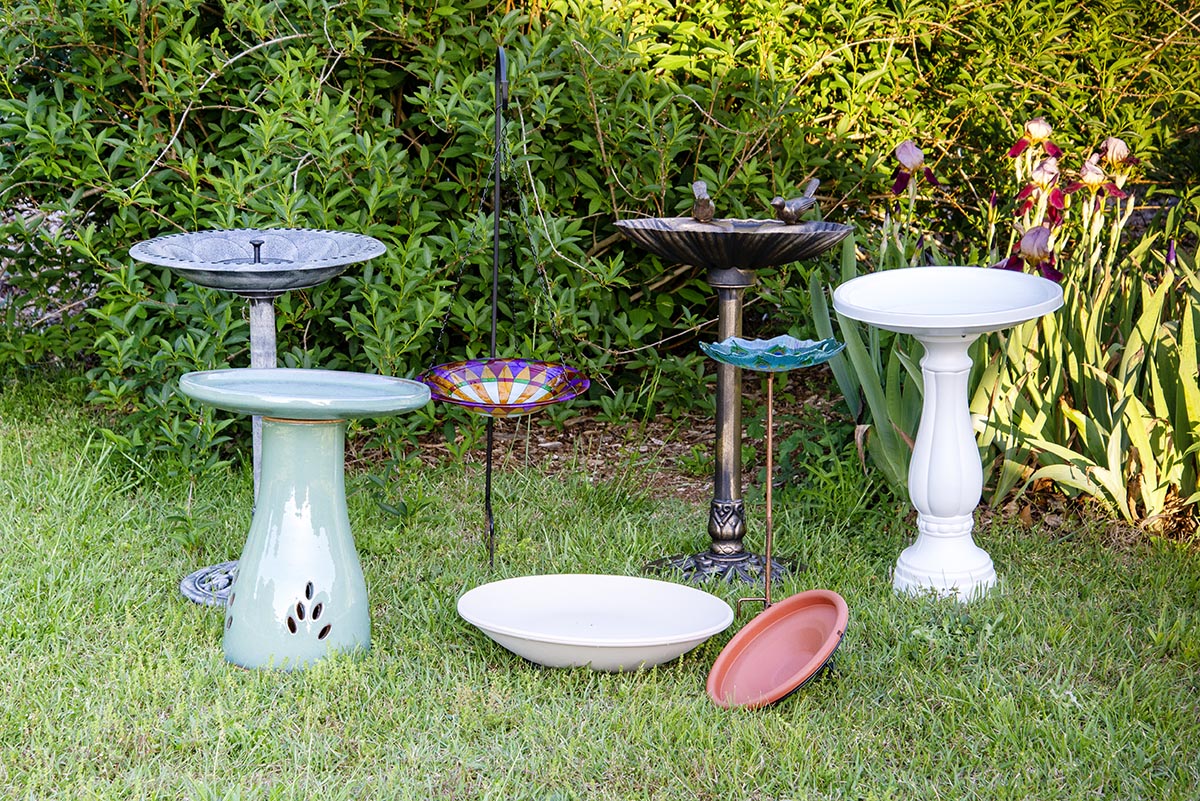 The Best Bird Bath Options