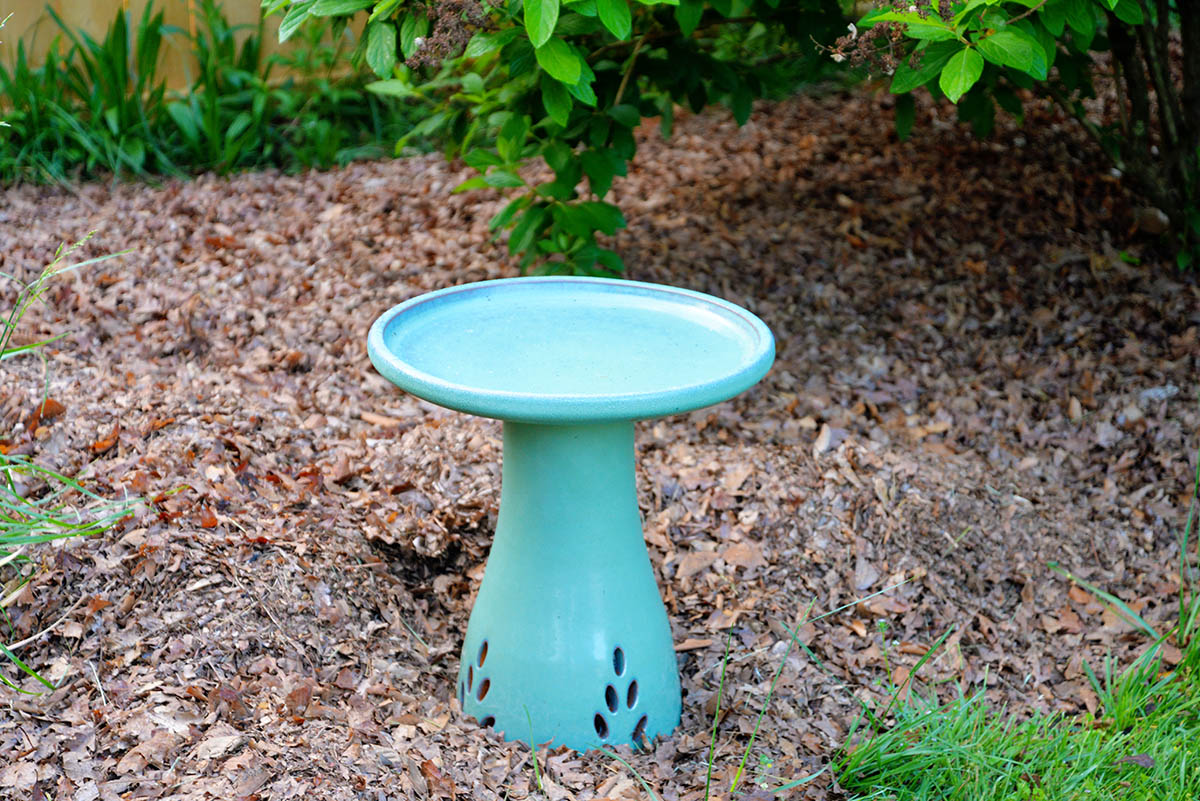 The Best Bird Bath Options