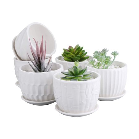  The Best Pots for Aloe Plants Option: Brajttt 4-Inch Cylinder Ceramic Flower Pots