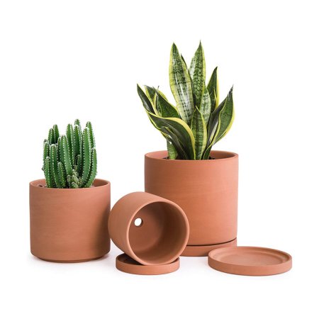  The Best Pots for Aloe Plants Option: D'vine Dev Terracotta Pots for Plants