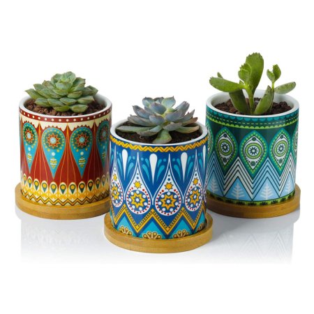  The Best Pots for Aloe Plants Option: Greenaholics Succulent Plant Pots 3-Inch Mandala