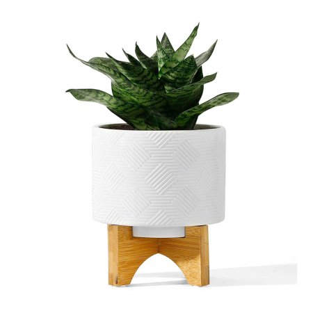  The Best Pots for Aloe Plants Option: POTEY Mid Century Ceramic Pot with Wood Stand