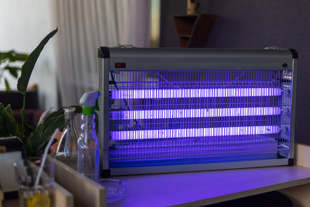 Best Indoor Bug Zapper