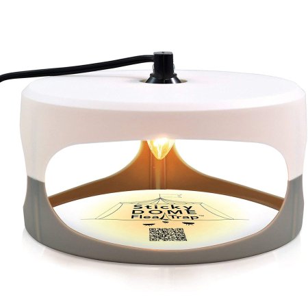  The Best Flea Trap Options: ASPECTEK - Trapest Sticky Dome Flea Bed Bug Trap with 2 Glue Discs