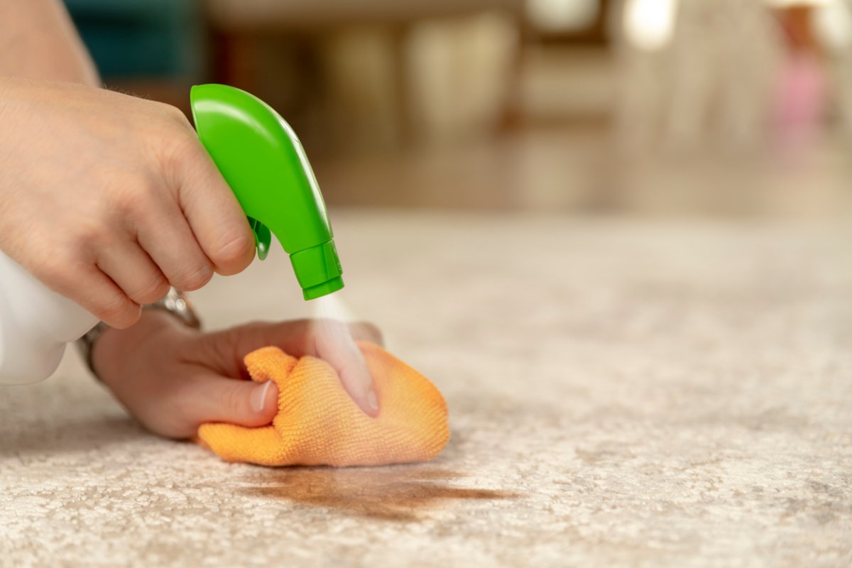 Removing Stains From the Carpet