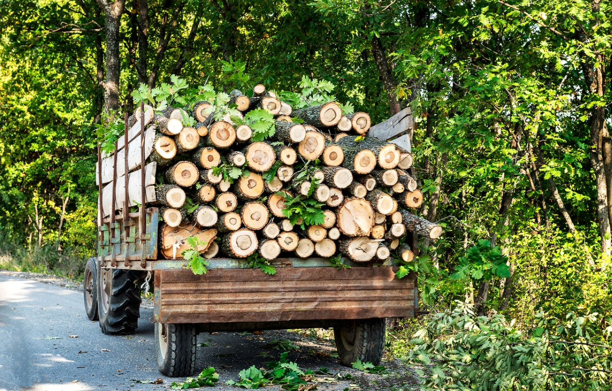 Tractor carrying logs.