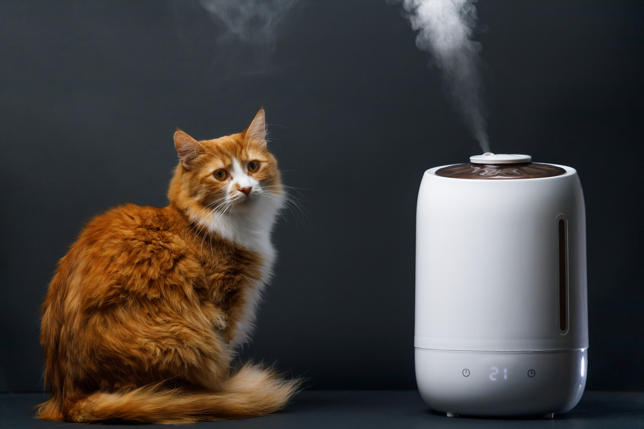 The Best Air Purifiers for Pets of 2023 Top Picks by Bob Vila