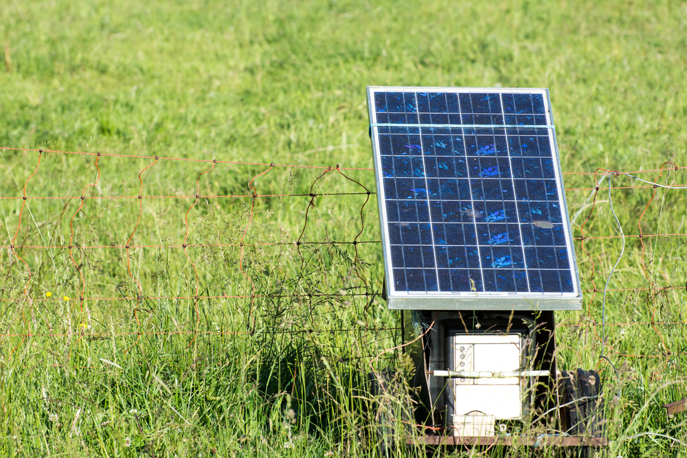 Best Electric Fence Charger