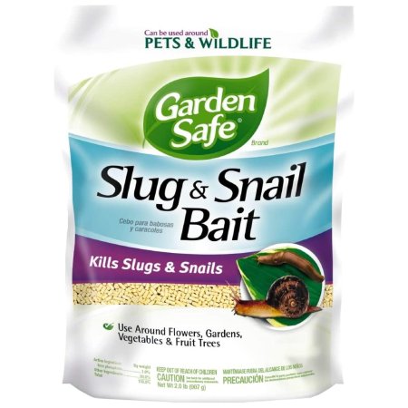  The Best Slug Killer Option: Garden Safe 4536 Slug & Snail Bait (HG-4536) (2 lb)