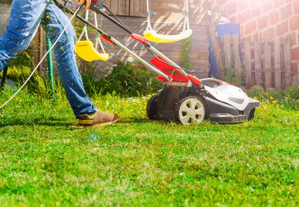 How to Revive Dead Grass: A Beginner's Guide - Bob Vila