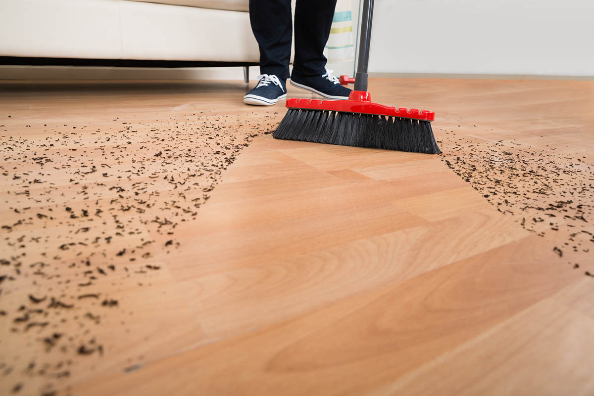 The Best Broom for Hardwood Floors Options