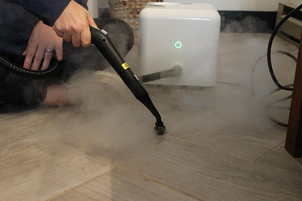 The Best Handheld Steam Cleaners Dupray Neat Steam Cleaner Cleaning Grout