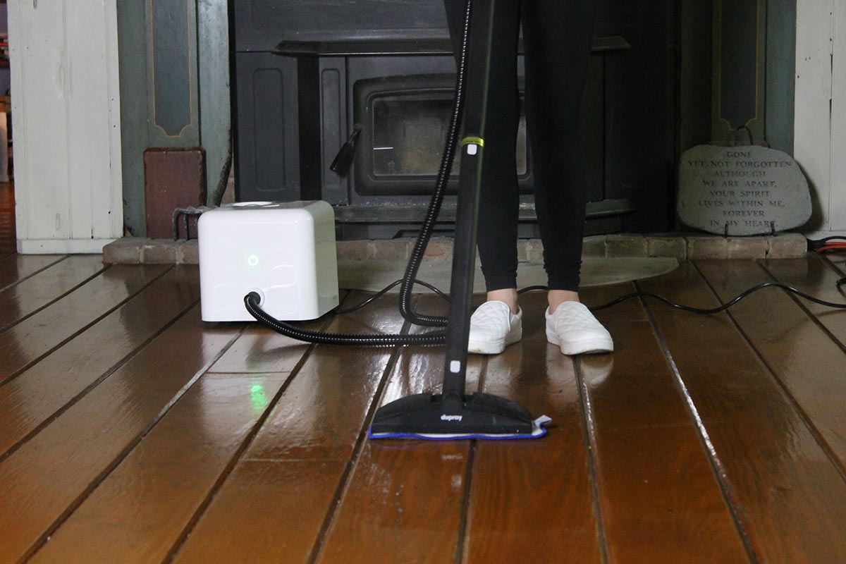 The Best Handheld Steam Cleaners Dupray Neat Steam Cleaner Mop 2