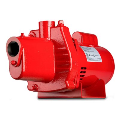 Red Lion Premium Cast Iron Shallow Jet Pump on a white background