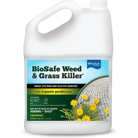  The Best Dandelion Killer Option: BioSafe Concentrated Nonselective Weed & Grass Killer