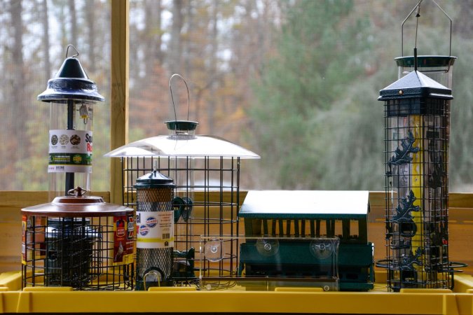 The Best Squirrel Proof Bird Feeder Options