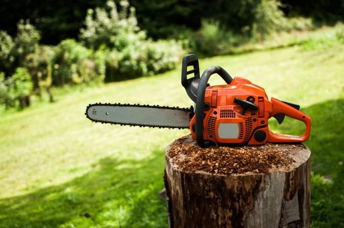 The Best Gas Chainsaw Option