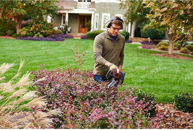 Best Gas Hedge Trimmer Options