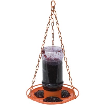 The Best Oriole Feeder Option: Perky-Pet Oriole Jelly Wild Bird Feeder, Red