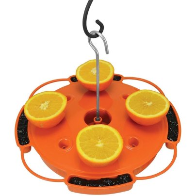 The Best Oriole Feeder Option: Songbird Essentials Ultimate Oriole Feeder