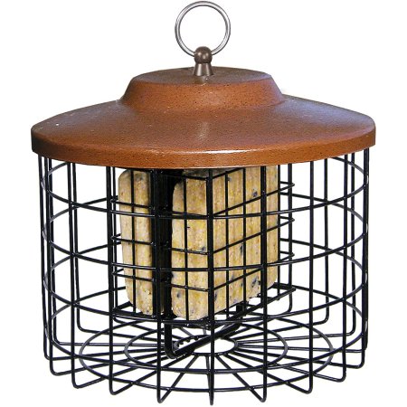  More Birds Double Suet Squirrel-Resistant Bird Feeder on a white background