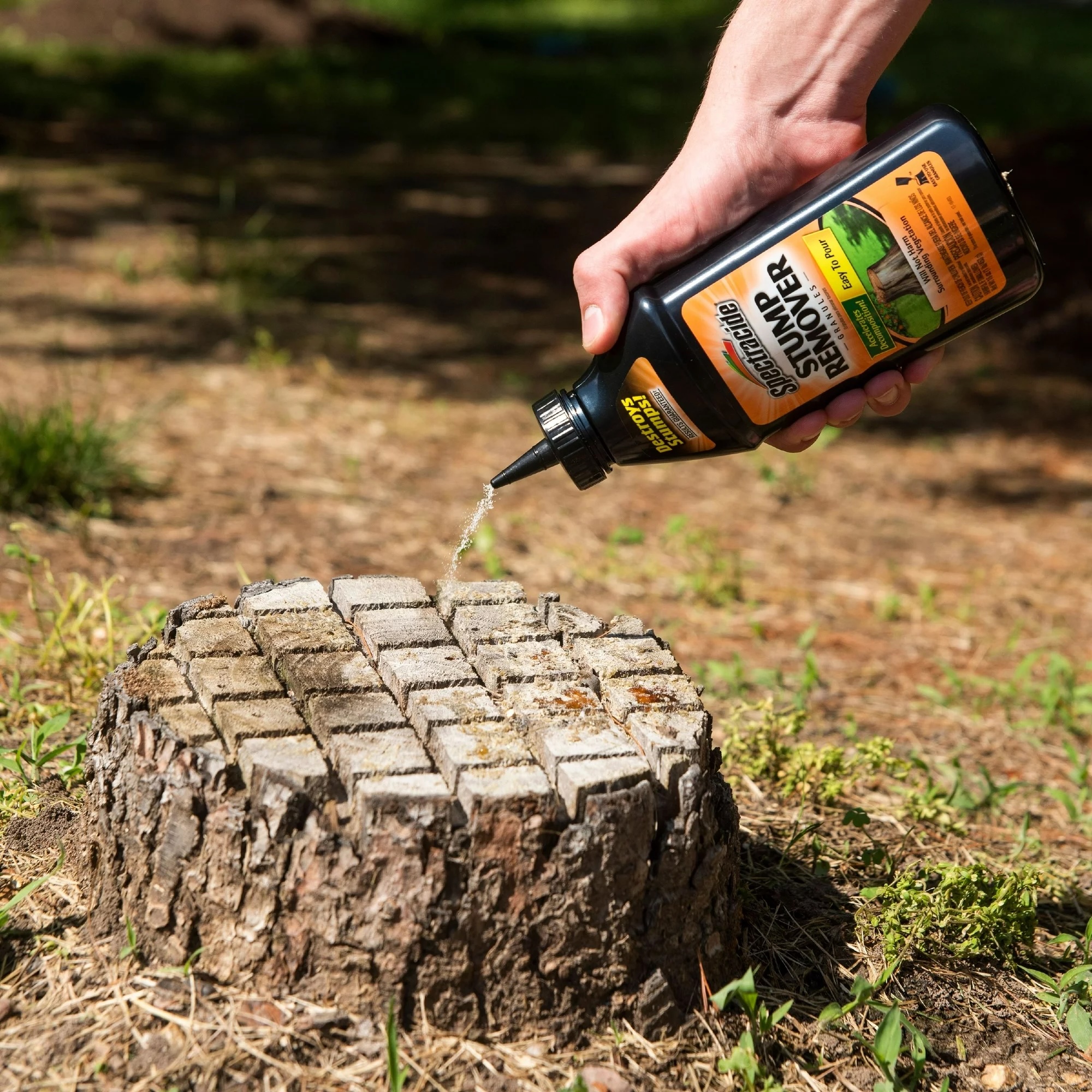 How To Kill A Tree Stump | 3 Natural Methods, And 3 Methods To Avoid