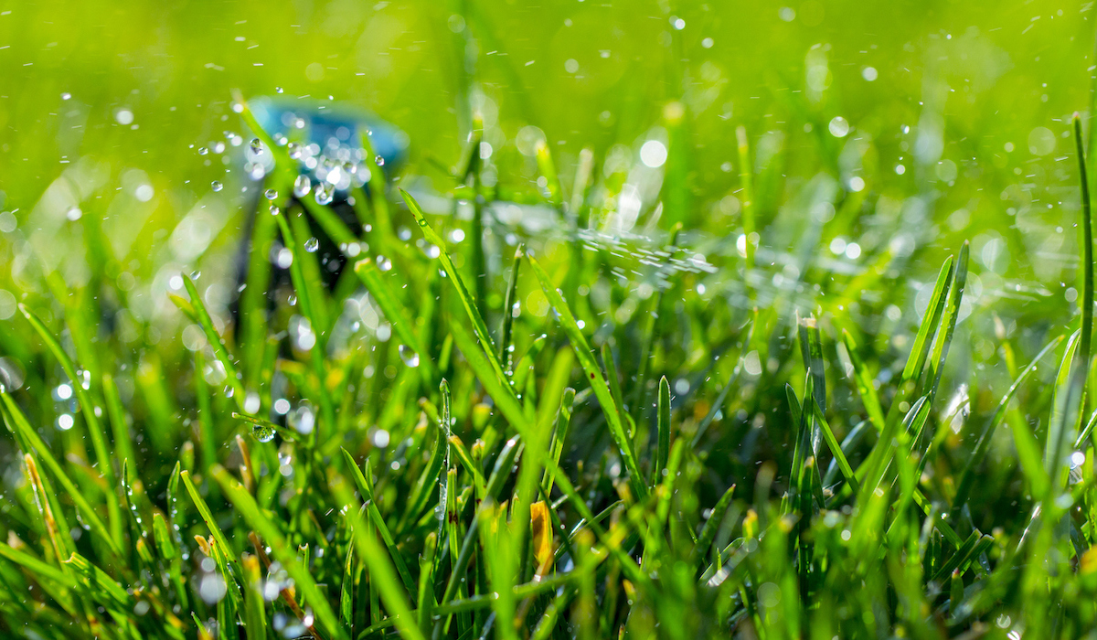 A sprinkler is watering a lawn.