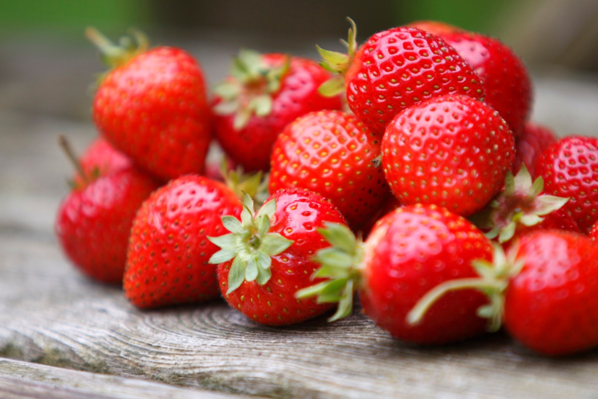 How to Grow Strawberries