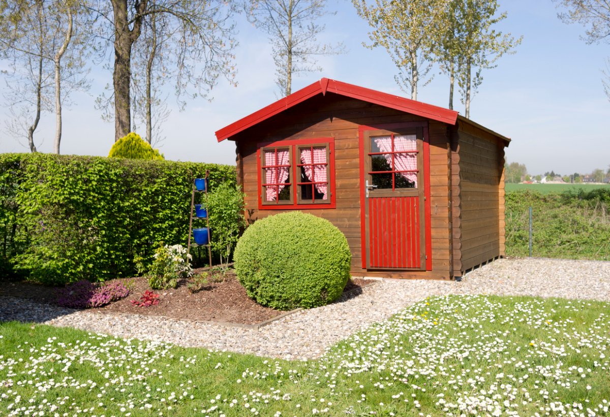 Little pine wooden cottage with curtains, buxus ball, hornbeam hedge,garden path with pebbles and lawn with daisies in spring.Poplar trees in the background.