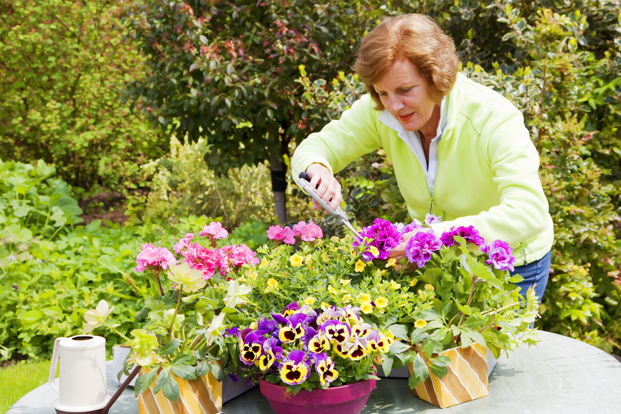 how to get rid of japanese beetles