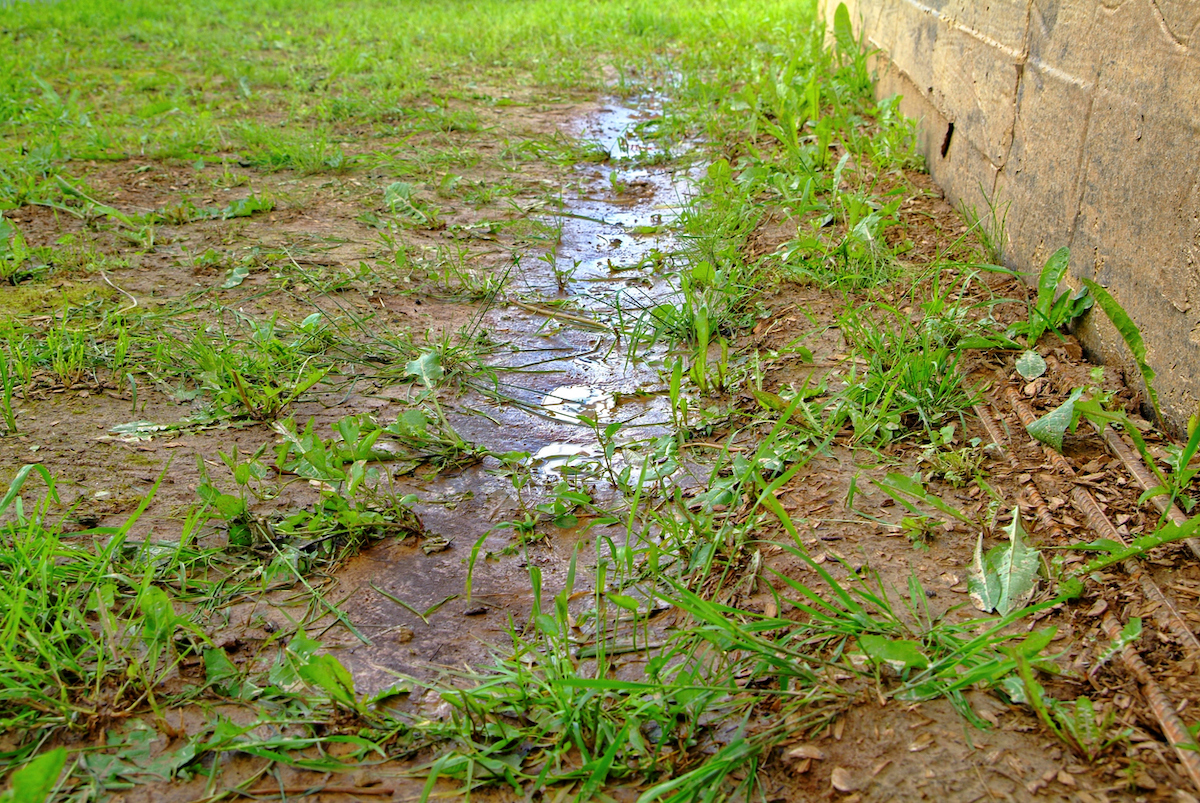 A puddle in the lawn lines the edge of a home's exterior.