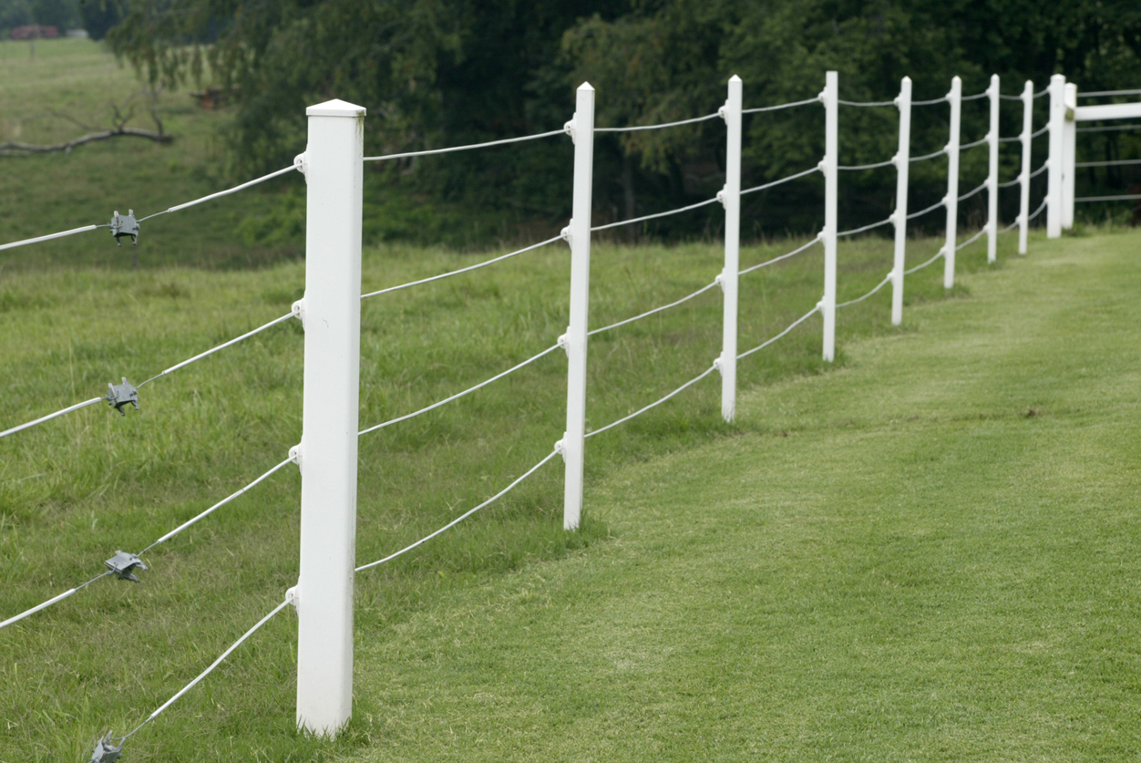 Fitting the Fence to the Animal: Choosing the Best Electric Fence for Your  Needs