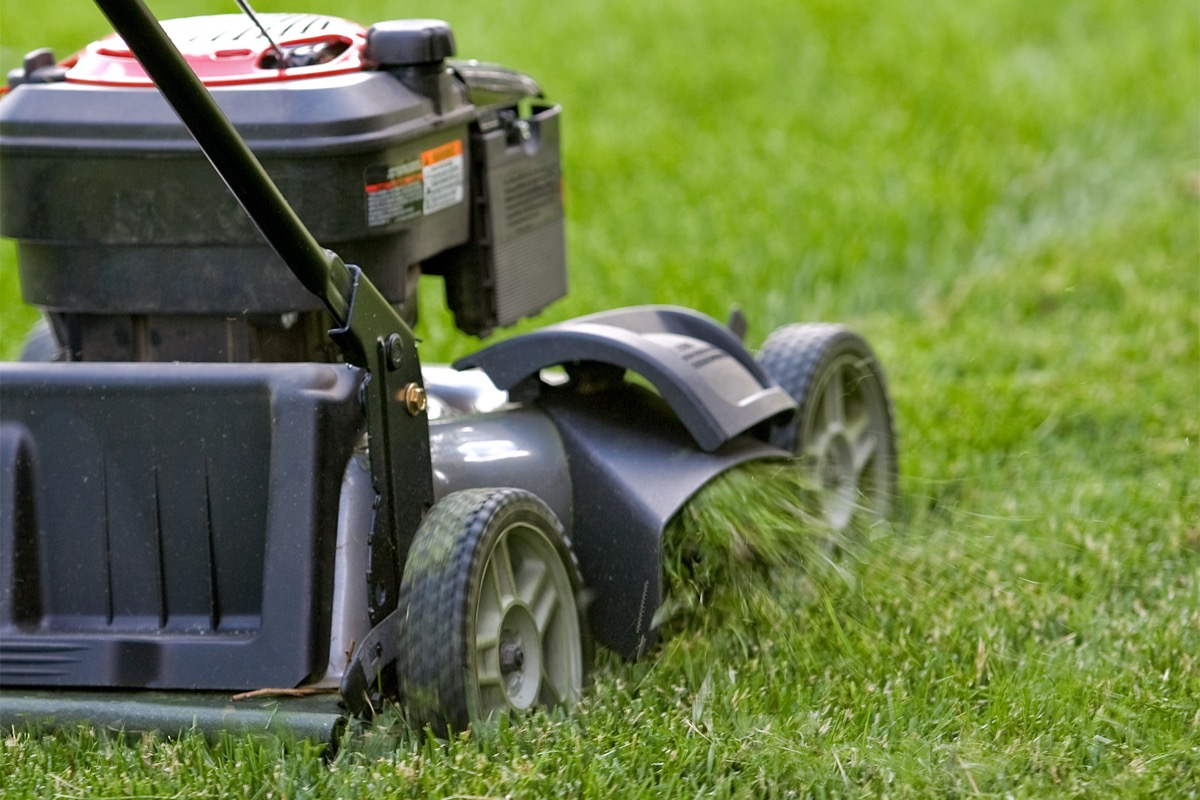 Is Mowing Wet Grass a Bad Idea? The Great Debate, Solved! (For Good)