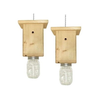 The Best Carpenter Bee Traps of 2023 - Recommendations from Bob Vila