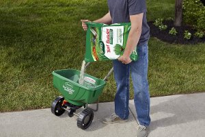 Best Fertilizer For Bermuda Grass