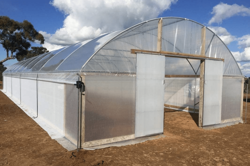 The Best Greenhouse Plastic Options