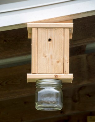 How to Make a Carpenter Bee Trap: A Step-by-Step Guide - Bob Vila