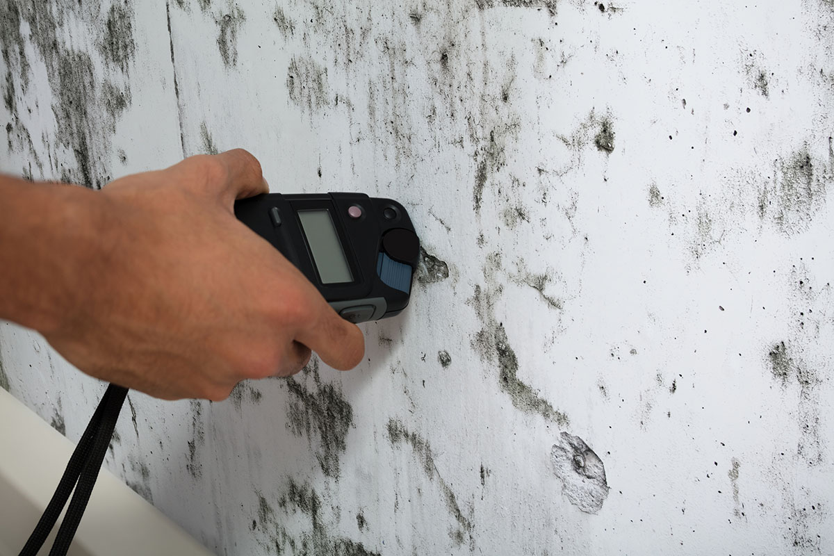 A mold inspector holds a testing tool against a wall that has clear signs of mold.