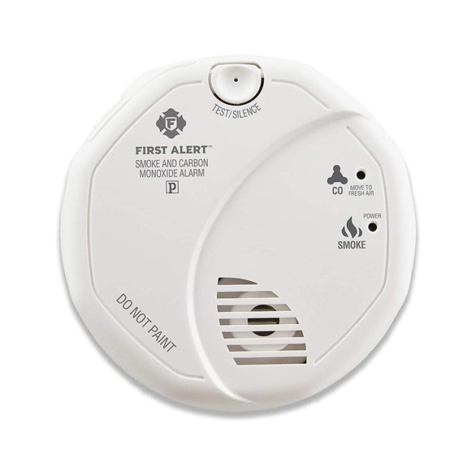 The Best Carbon Monoxide Detectors, Tested & Reviewed - Bob Vila