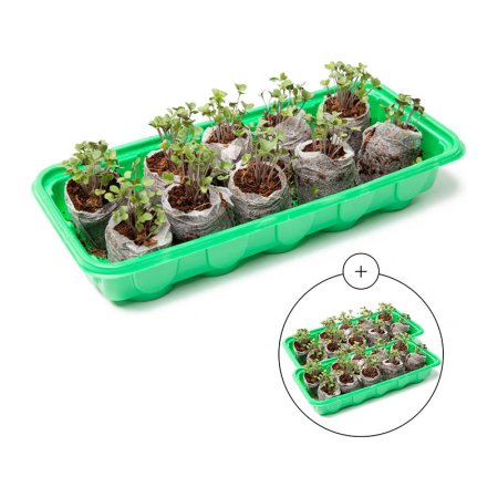  The Best Seed Starting Mix Option Window Garden Mini Greenhouse Seed Starter Kit