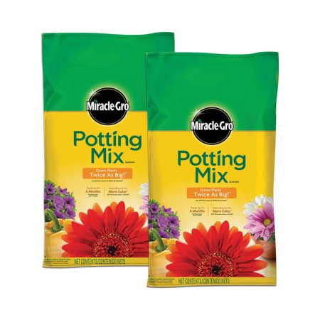  The Best Soil for Monstera Option: Miracle-Gro Potting Mix , 8 qt. (2 Pack)