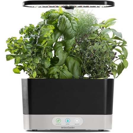  The AeroGarden Harvest Hydroponic System growing basil, oregano, thyme, and more on a white background.