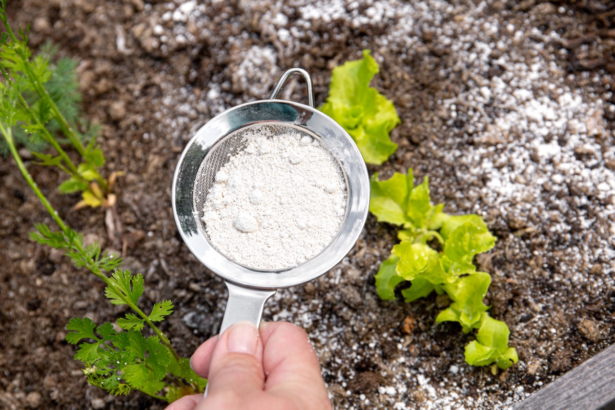 Spreading white powder substance on ground