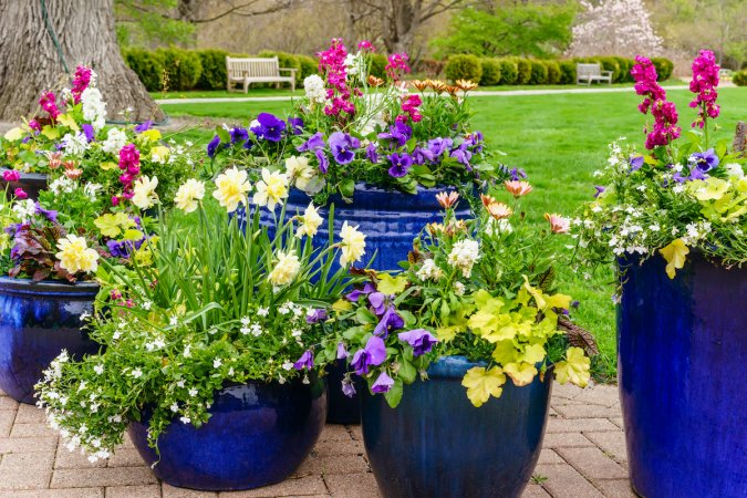 container garden combos for attracting pollinators