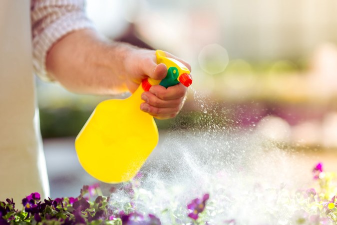All You Need to Know About Insecticidal Soap