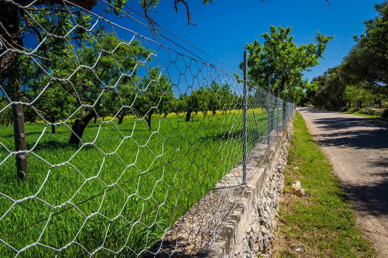 A chain-link fence with barbed wire on top surrounds a rural field with wild grass and trees.