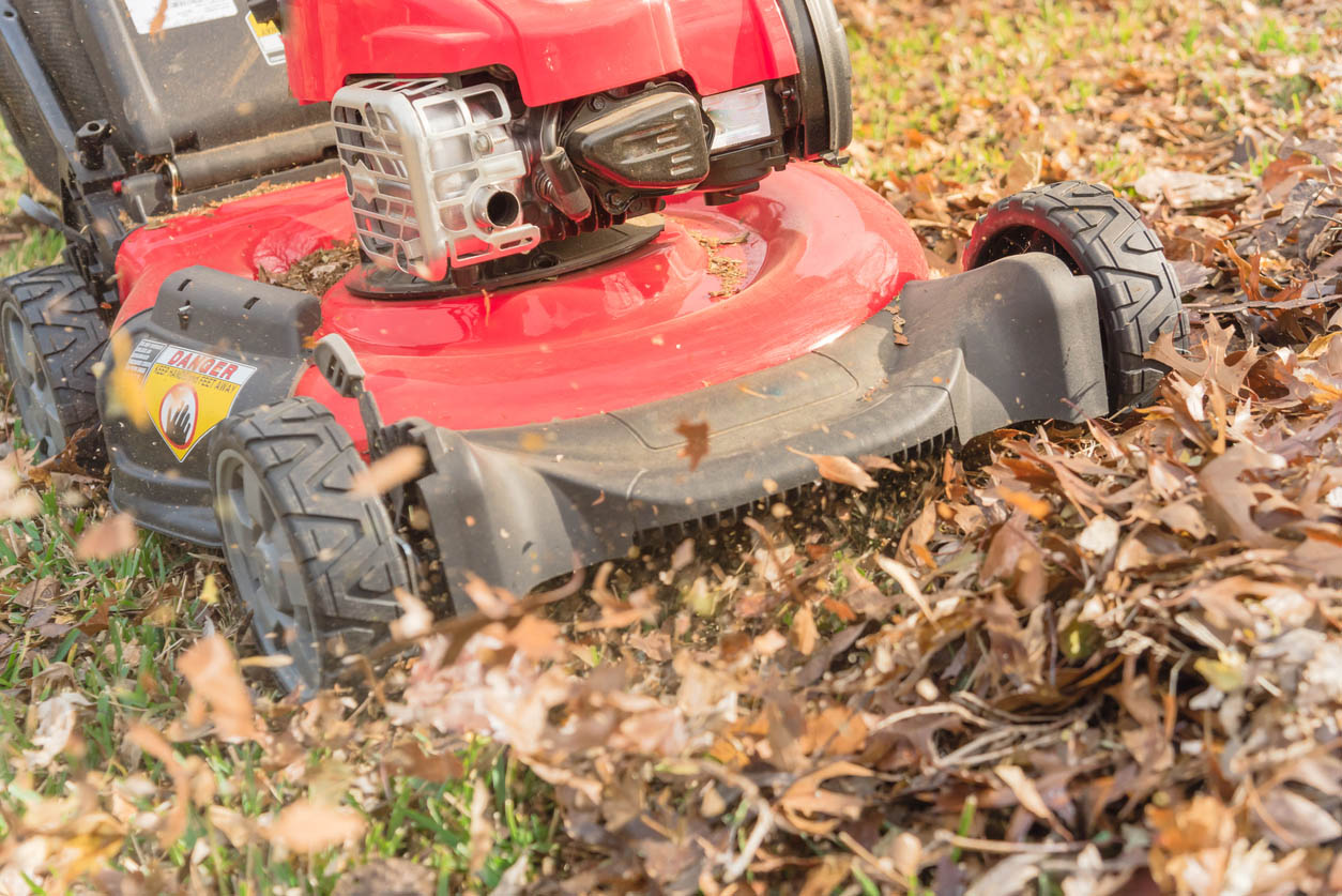 A red lawn mower is shredding leaves for mulch.