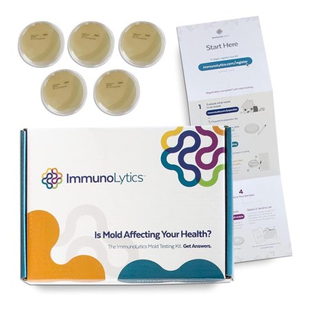  ImmunoLytics DIY Mold Test Kit on a white background