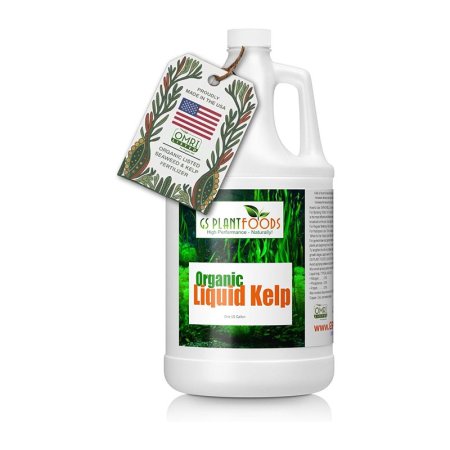  The Best Organic Lawn Fertilizer Option GS Plant Foods Organic Liquid Kelp Seaweed Fertilizer